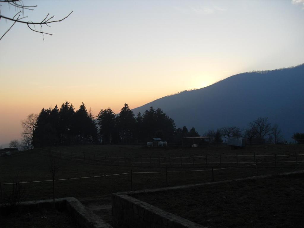 Agriturismo Le Vigne Vila Montale  Quarto foto