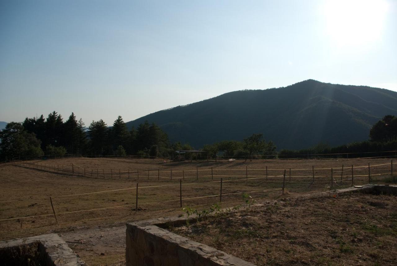 Agriturismo Le Vigne Vila Montale  Exterior foto